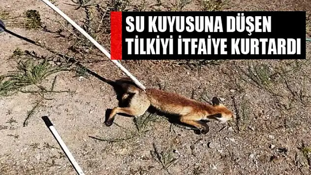 Su kuyusuna düşen tilki, itfaiye ekipleri tarafından kurtarıldı