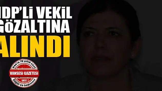HDP'li vekil gözaltına alındı