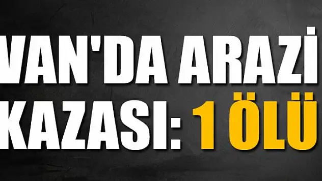 Van'da arazi kazası: 1 ölü, 1 yaralı