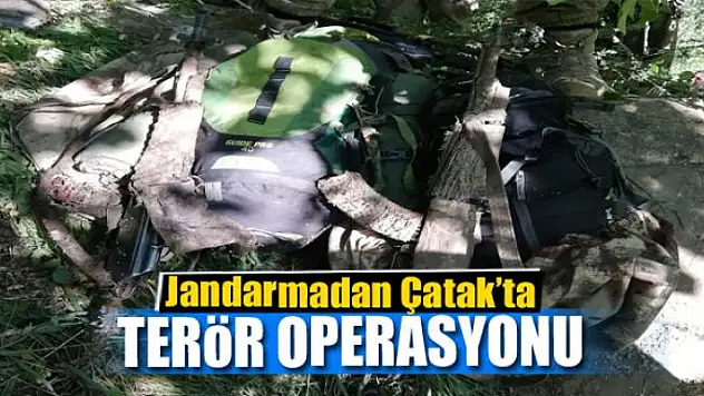 Çatak'ta 2 terörist etkisiz hale getirildi