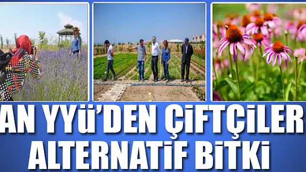 Van YYÜ'den çiftçilere alternatif bitki