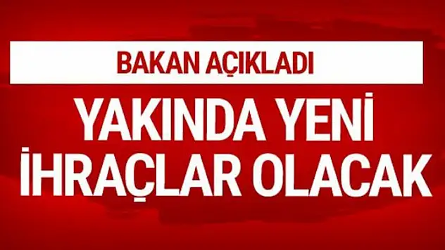 Yeni ihraç dalgası geliyor Fikri Işık'tan son açıklama