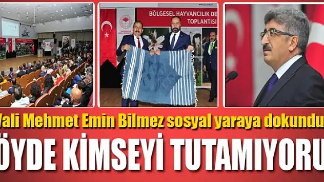 Vali Bilmez: Köyde kimseyi tutamıyoruz