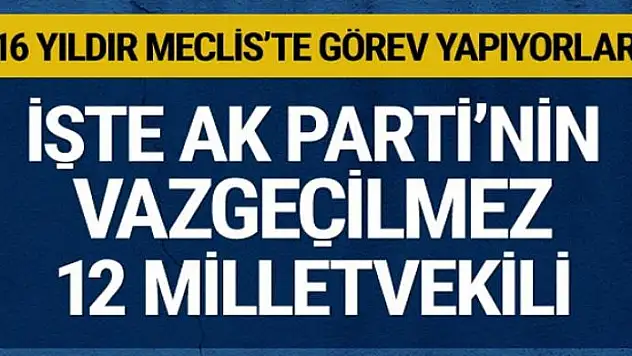 İşte AK Parti'nin vazgeçmediği 12 milletvekili! Her dönem Meclis'teler