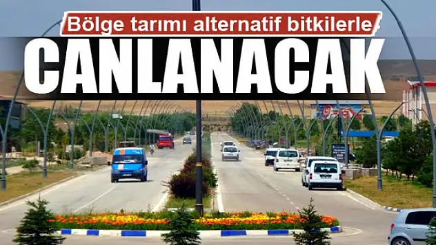 Bölge tarımı alternatif bitkilerle canlanacak 