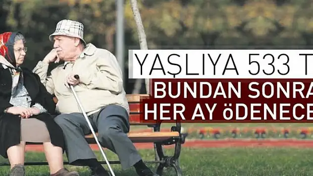 Yaşlıya her ay 533 TL