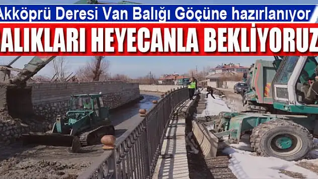 Akköprü Deresi Van Balığı Göçüne hazırlanıyor