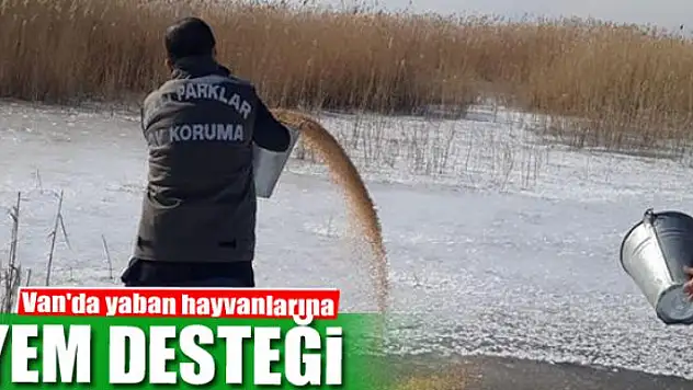 Van'da yaban hayvanlarına yem desteği
