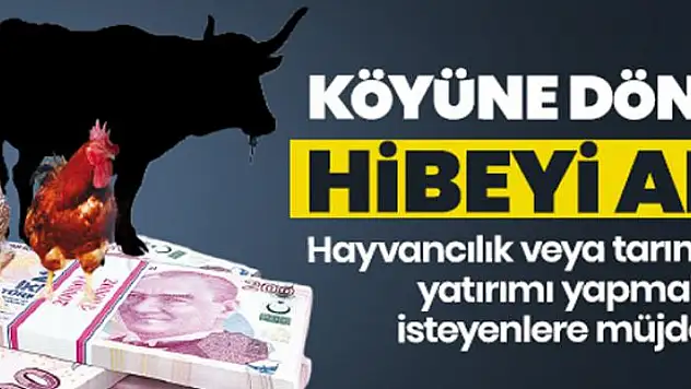 Köyüne dön hibe al