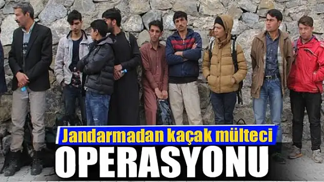 Jandarmadan kaçak mülteci operasyonu