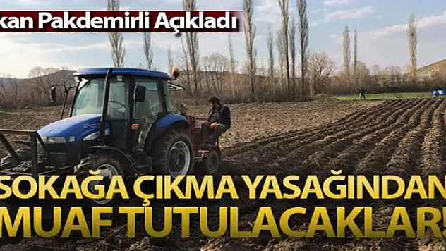 Bakan Pakdemirli: 'Tarım ve hayvancılık faaliyetlerinde bulunanlar sokağa çıkma yasağından muaf tutulacak'