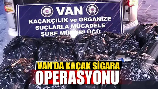 Van'da sigara kaçakçılığı