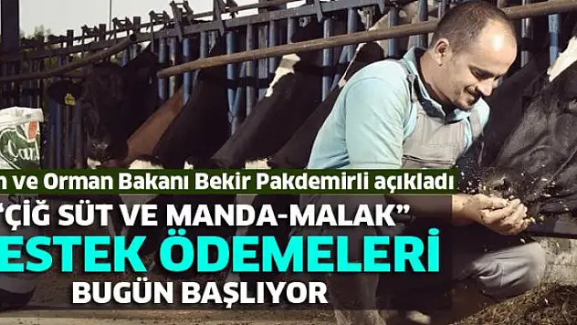 Çiğ süt ve manda-malak destek ödemeleri bugün başlıyor