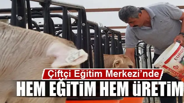 Çiftçi Eğitim Merkezi'nde hem eğitim hem üretim 