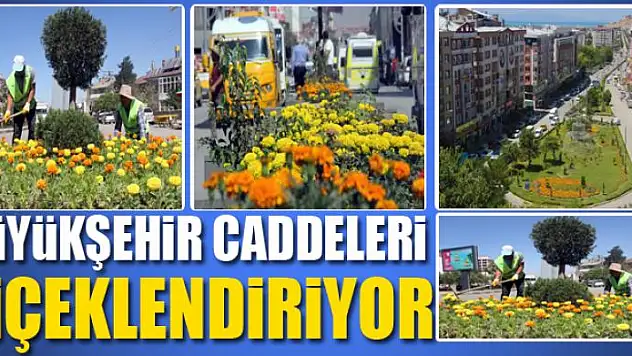 BÜYÜKŞEHİR CADDELERİ ÇİÇEKLENDİRİYOR