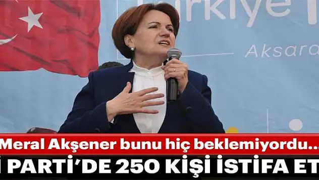  İYİ Parti'den 250 kişi istifa etti