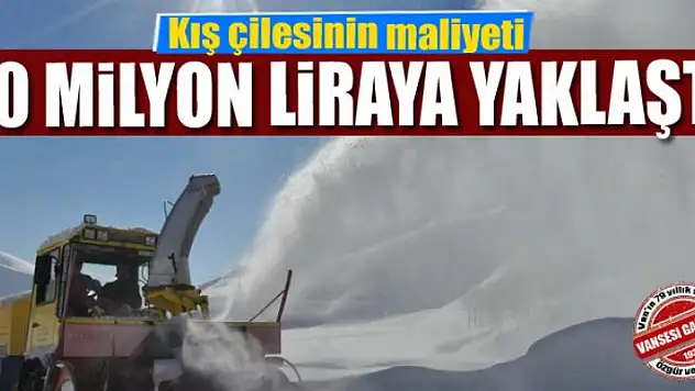 Kış çilesinin maliyeti 50 milyon liraya yaklaştı