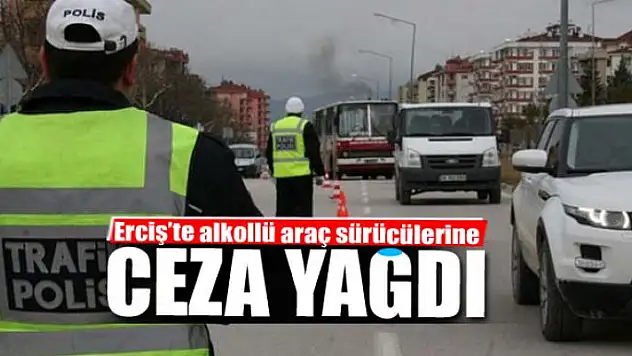 Erciş'te alkollü araç sürücülerine ceza yağdı