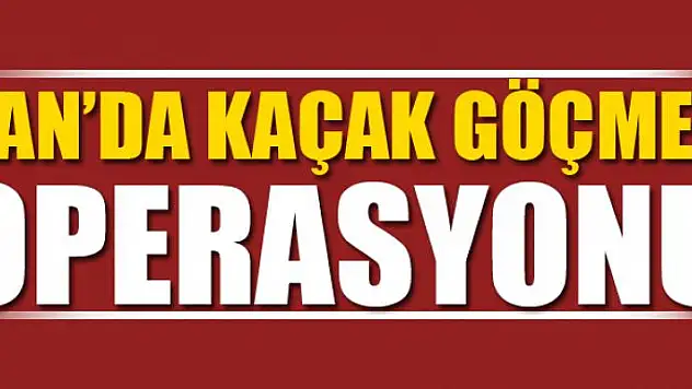 Van'da 55 kaçak şahıs yakalandı