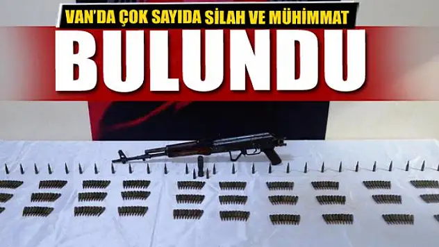 Van'da terör operasyonu