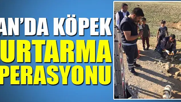 Van'da köpek kurtarma operasyonu