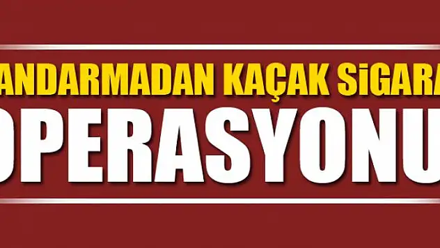Jandarmadan kaçak sigara operasyonu 