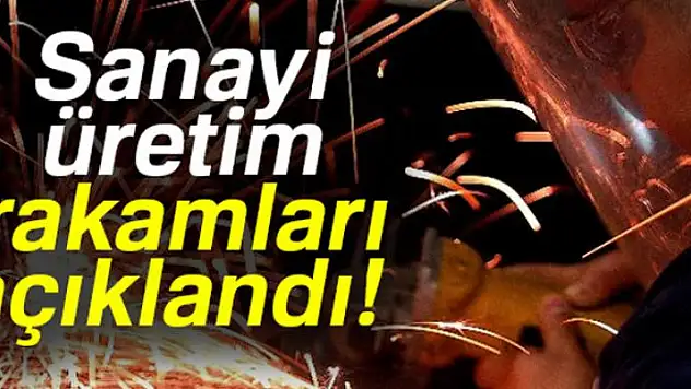 Sanayi üretimi Temmuz'da yüzde 5,6 arttı