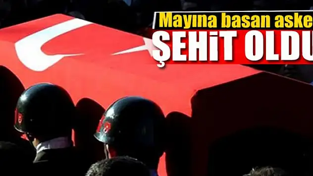 Mayına basan asker şehit oldu