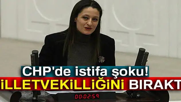 CHP'li Şafak Pavey milletvekilliğinden istifa etti