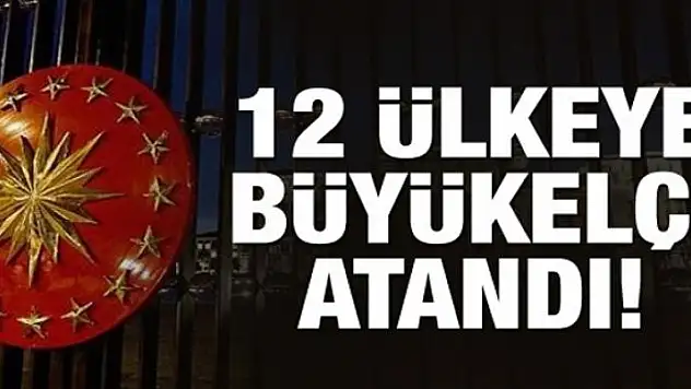 10 büyükelçi merkeze alındı, 12 ülkeye büyükelçi atandı 