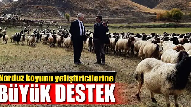 Norduz koyunu yetiştiricilerine destek