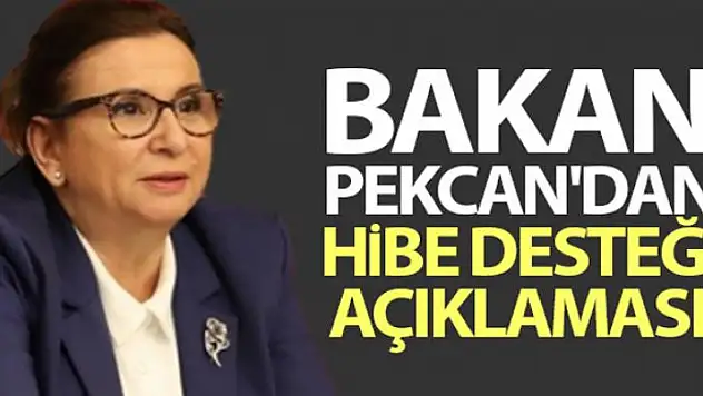 Bakan Pekcan'dan hibe desteği açıklaması