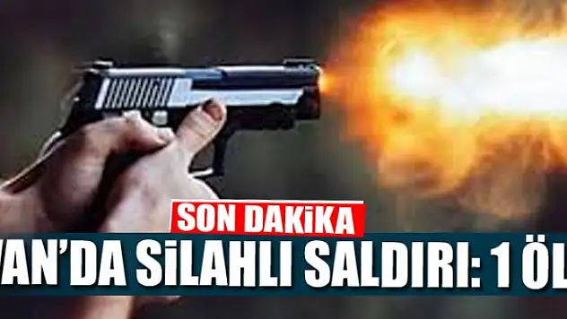 Van'da silahlı saldırı: 1ölü