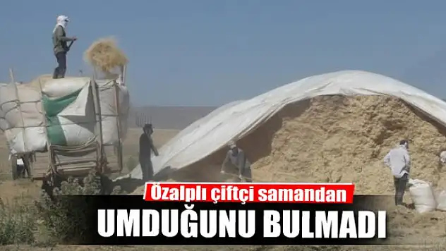 Özalplı çiftçi samandan umduğunu bulmadı