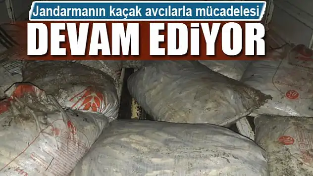 Jandarmanın kaçak avcılarla mücadelesi devam ediyor