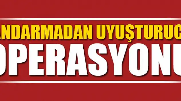 Jandarmadan uyuşturucu operasyonu