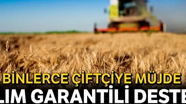 8 bin çiftçiye alım garantili destek