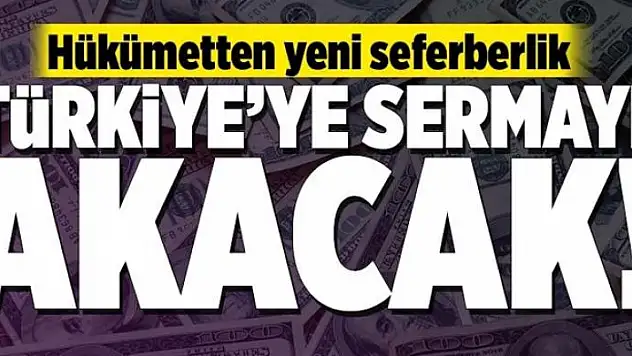 Sermaye Türkiye'ye akacak 