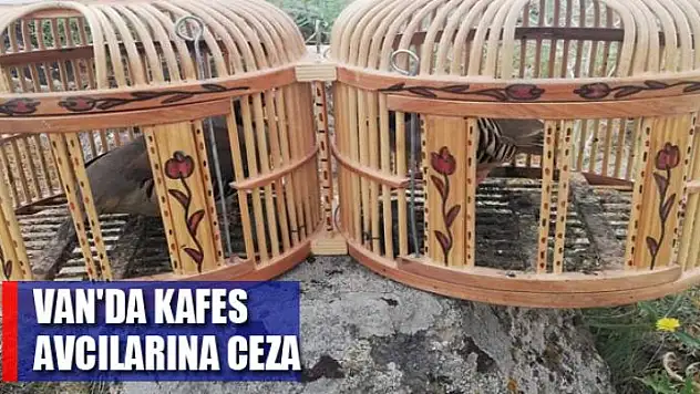 Van'da kafes avcılarına ceza