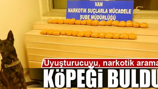 Uyuşturucuyu, narkotik arama köpeği buldu