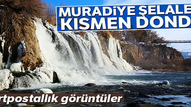 Muradiye Şelalesi kısmen dondu