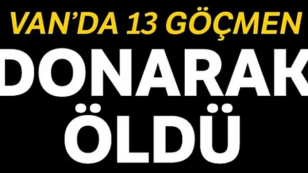 Çaldıran'da 13 düzensiz göçmen donarak öldü