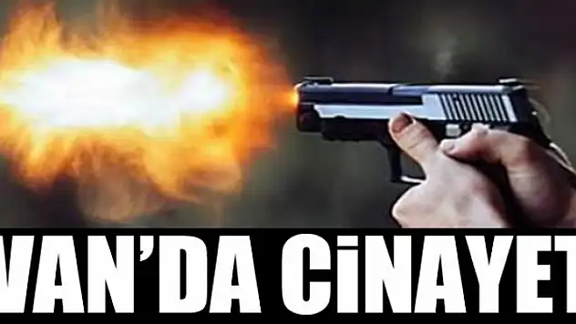 Van'da cinayet!