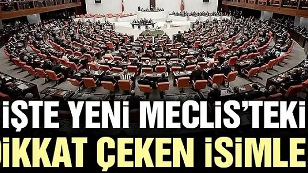 İşte yeni Meclis'te dikkat çeken isimler…