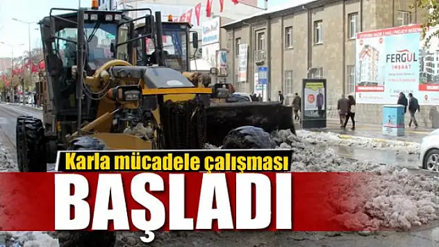 Van'da karla mücadele çalışması