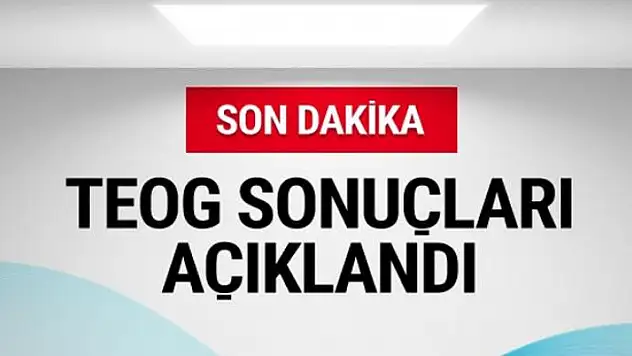 TEOG sonuçları açıklandı