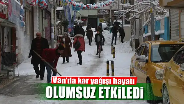 Van'da kar yağışı hayatı olumsuz etkiledi