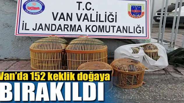 Van'da 152 keklik doğaya bırakıldı 