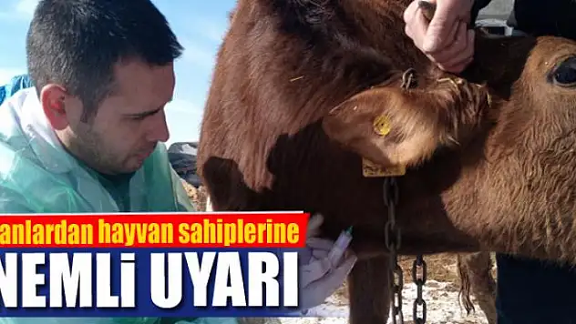 Uzmanlardan hayvan sahiplerine önemli uyarı