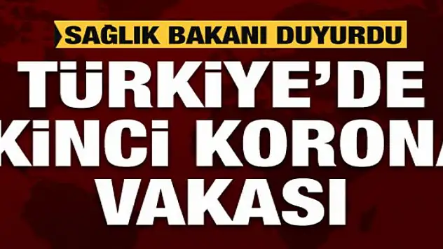Türkiye'de ikinci korona vakası